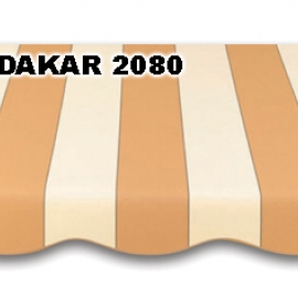 DAKAR 2080