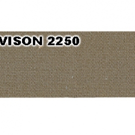 VISION 2250
