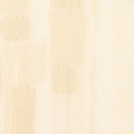 Rembrandt 60002
