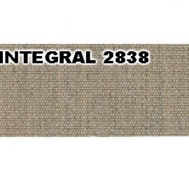 INTEGRAL 2838